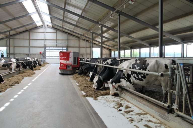 annigje dairy farm 2811887